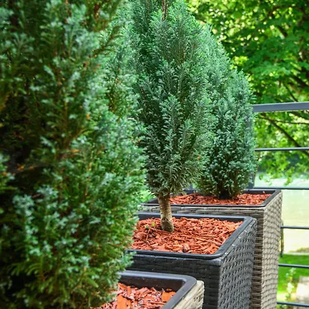 Vikendica Natasa Vila *